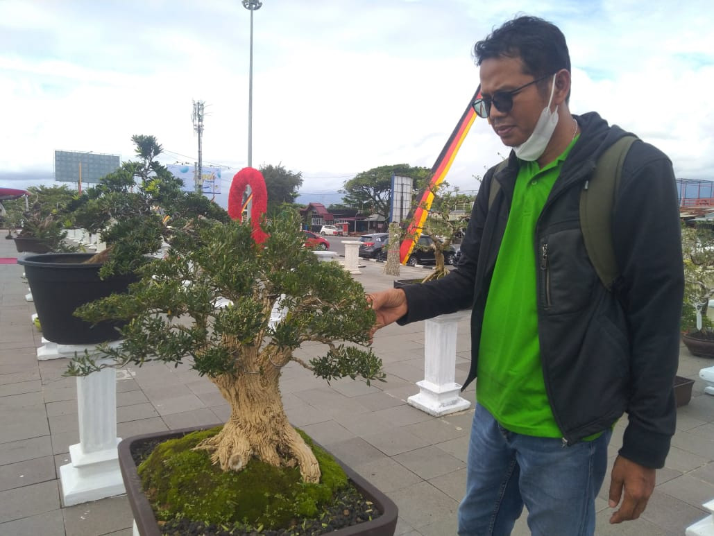 Pecinta Tanaman Hias, Imung: bonsai obat stres paling mujarab