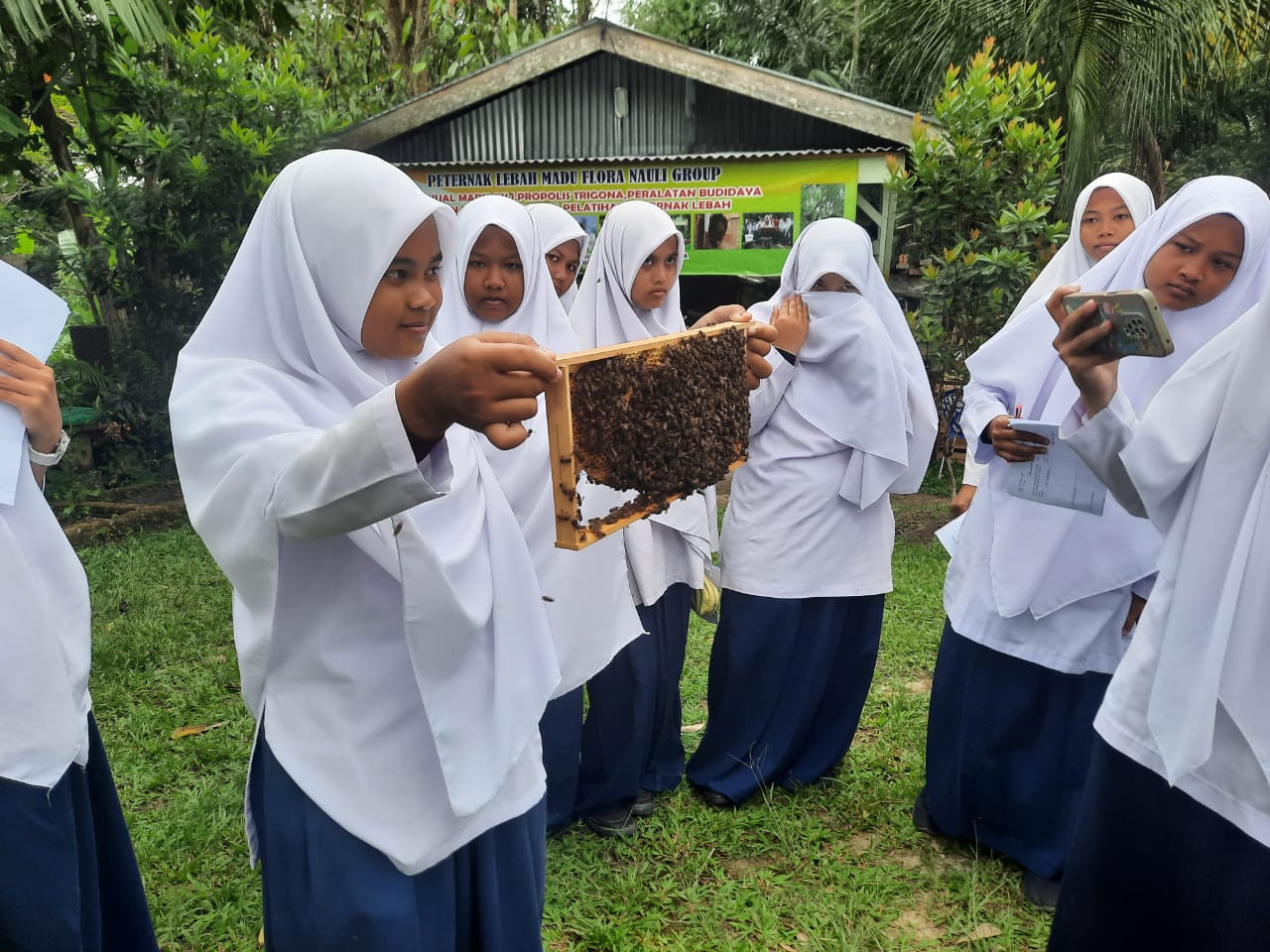 Kisah Pengusaha Madu Siantar Raih Sukses  