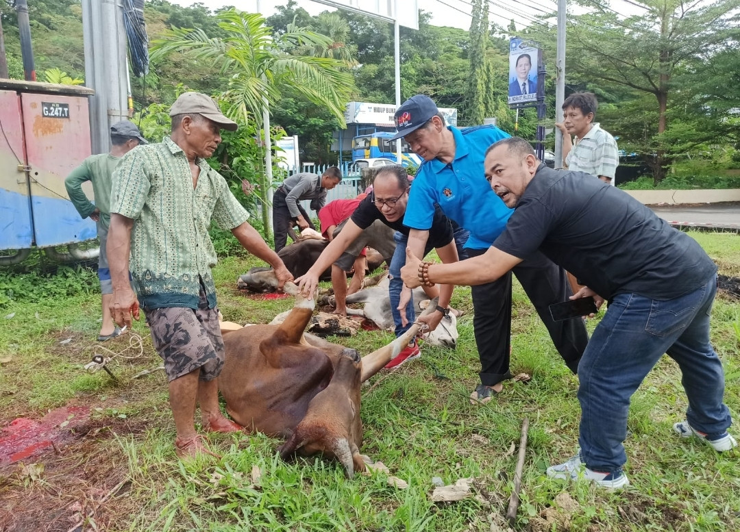 Empat Ekor Sapi Qurban Dibantai di PWI Sumbar 